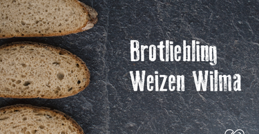 Brotliebling Rezept Weizen Wilma Sauerteigbrot