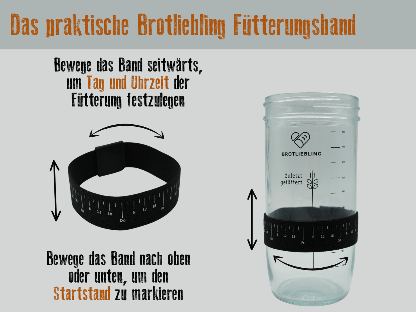 Fütterungsband Sauerteig Glas