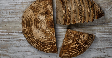 Kürbiskernbrot: Kürbis Klara