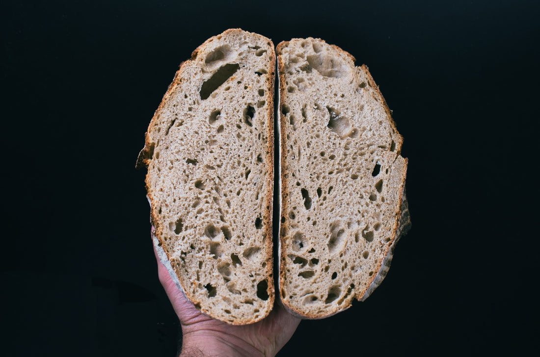 Porungen: Ein Blick auf die Struktur von Broten