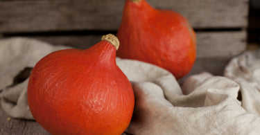 Kürbis