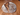 One Day Sauerteigbrot