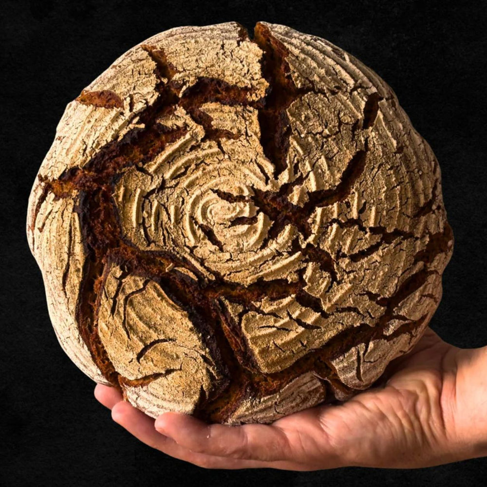 Dampfschüssel Brotback-Starter-Set
