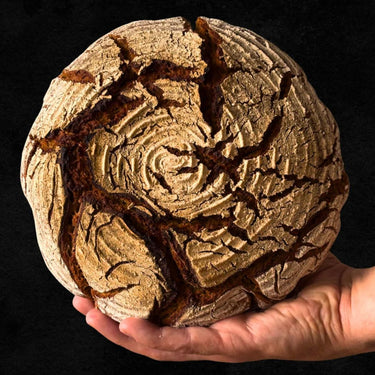 Dampfschüssel Brotback-Starter-Set