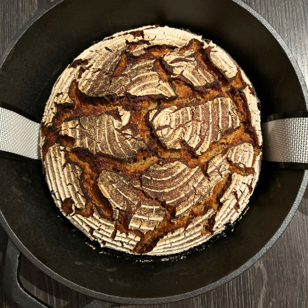 <h2>Bereits über 10.000 glückliche Sauerteig Hobbybäcker:innen:</h2>