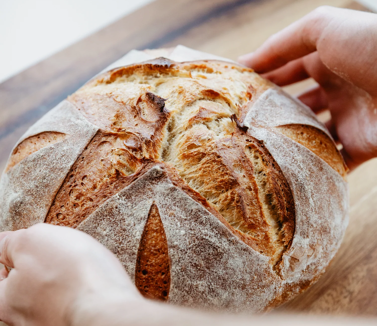 Brotbackmischungen Brotliebling