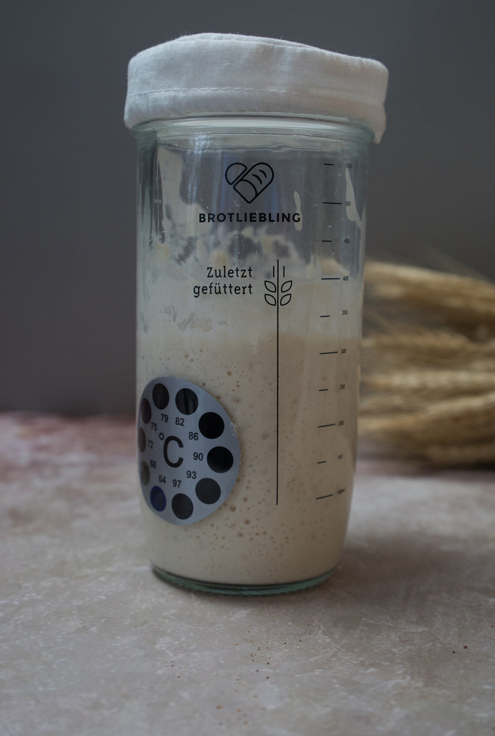 <h2>Bereits über 10.000 glückliche Sauerteig Hobbybäcker:innen:</h2>