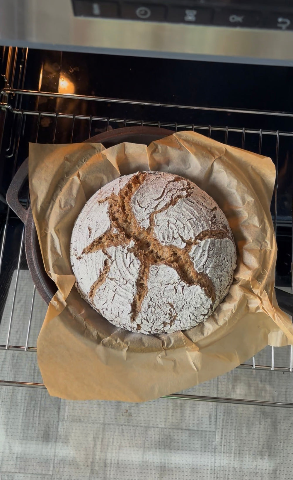 <h2>Bereits über 10.000 glückliche Sauerteig Hobbybäcker:innen:</h2>