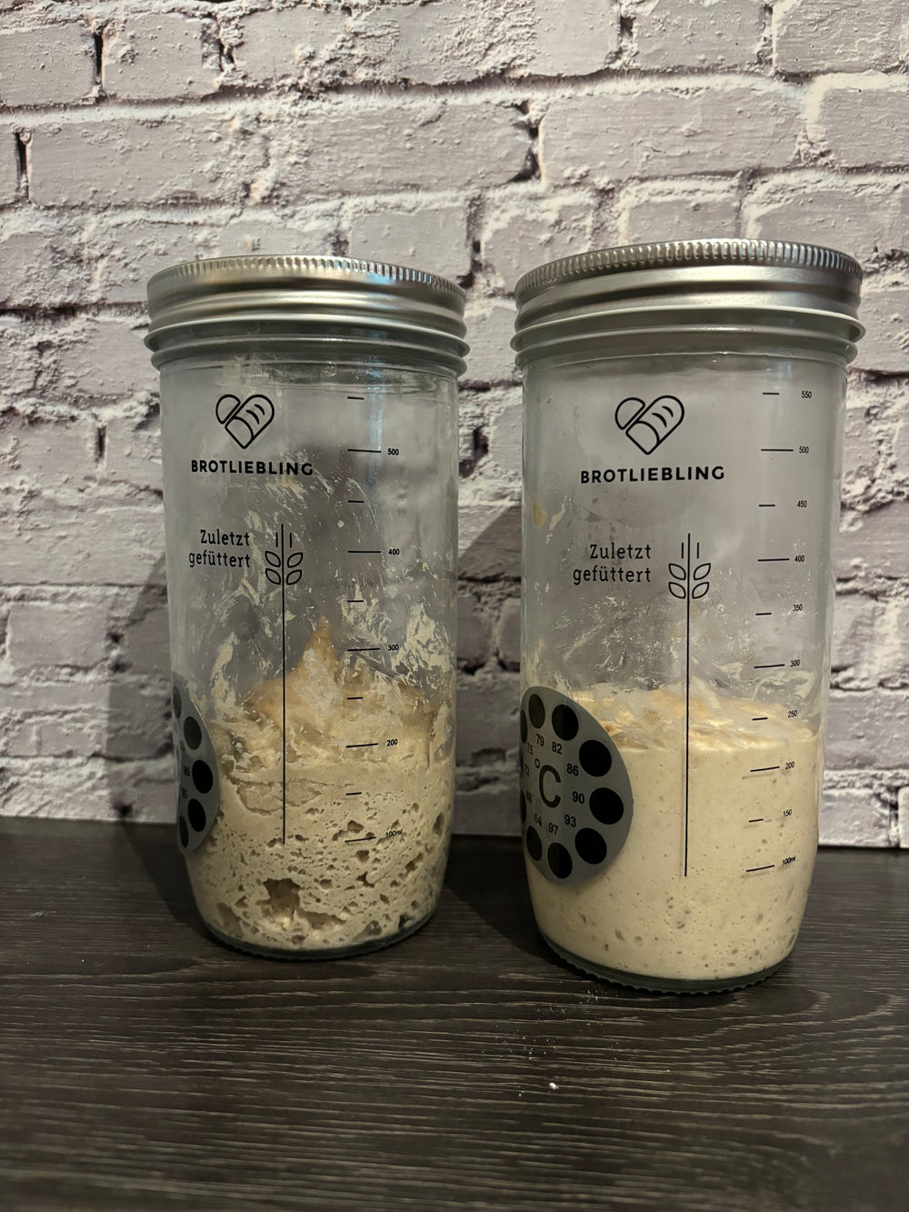 <h2>Bereits über 10.000 glückliche Sauerteig Hobbybäcker:innen:</h2>