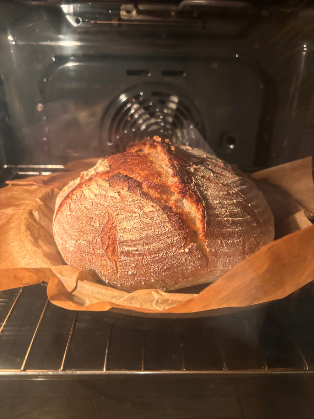 <h2>Bereits über 10.000 glückliche Sauerteig Hobbybäcker:innen:</h2>