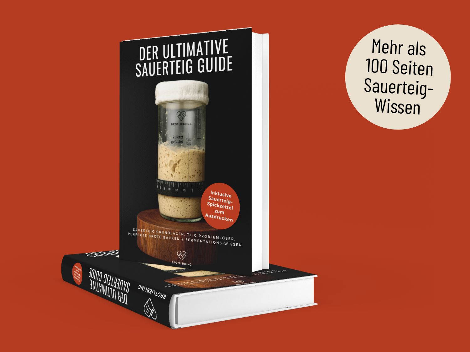 Sauerteig Guide