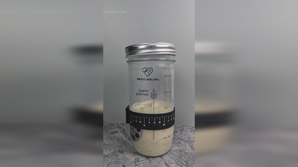 Anleitung Sauerteig herstellen